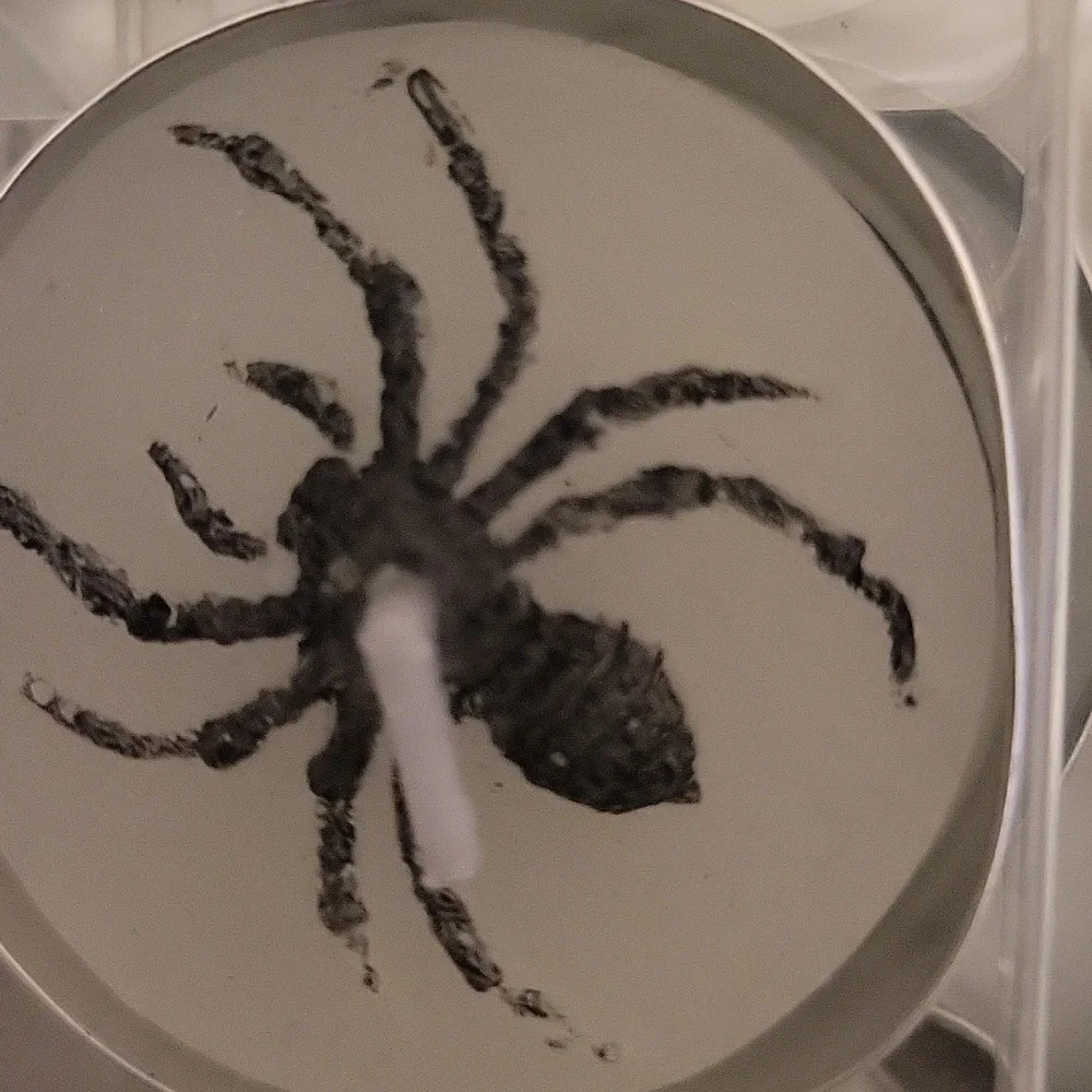 $40 worth of Ashland Halloween Tealight Candles - Black Spider Design